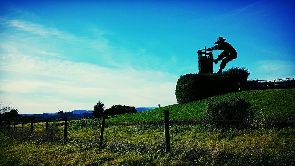 Abode Napa Valley Eksteriør billede